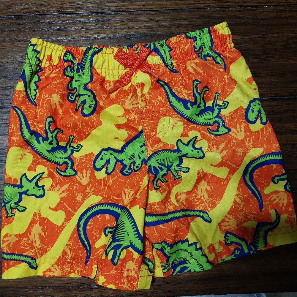 Infant Dinosaur Swim Trunks Size 24 months